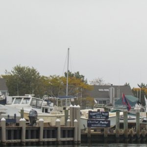 IMG 2726