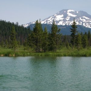 Salty's first swim - Hosmer Lake, with South Sister in the background