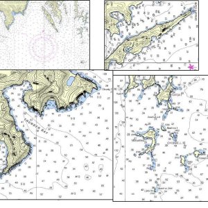 Area chart and sectional of the Kenai Fjords and Ressurection Bay Area.