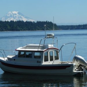 Media 'Home anchor, Steamboat Island, south Puget Sound.  Mt Rainier in distance.' in album 'P1070675'