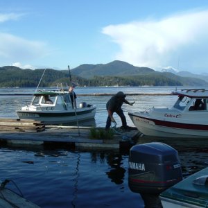 Tugboats at Rock Bay !!!