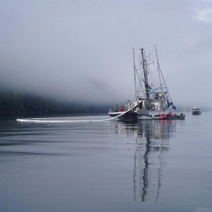 This is the way to catch lots of fish !!