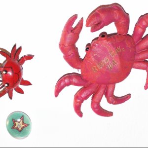 Birch Bay Souvenir Crab