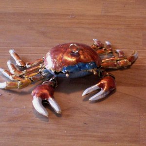 Crab on Coffee Table