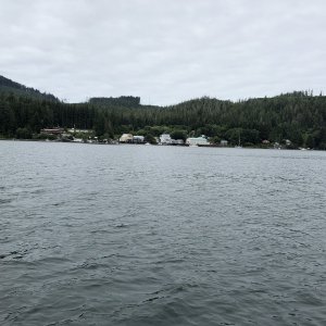 View of downtown Winter Harbour