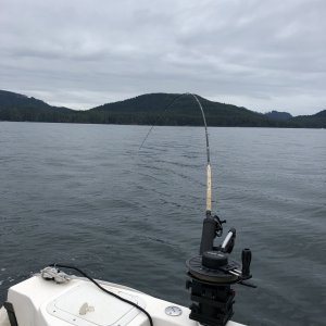 Flat calm offshore fishing