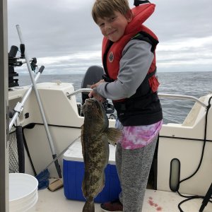 Lingcod!
