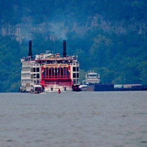 Media 'Missippi Queen Meets Tow - Wheeler Lake' in album 'Goosepond Sunrise Guntersville Lake'