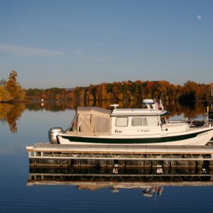 C-Eagle-Nov-at-Goosepond. Fall Evening with day moon in background