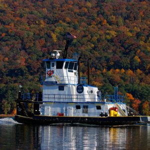 Media 'Tug Lewis and Clark traversing the mighty Tennessee on a Fall day.' in album 'Goosepond Sunrise Guntersville Lake'
