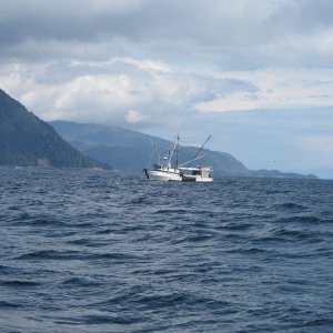 Troller near Cape Chacon