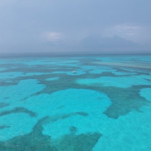 Molasses reef channel