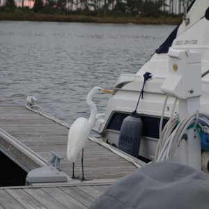 DSC00581