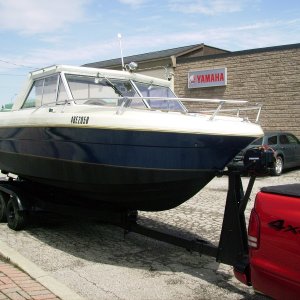 My last money pit