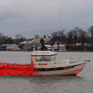 Tuna Blood.jpg