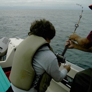 (Mr. Fisherman)