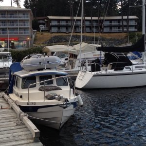 Media 'Beach Gardens at Powell River' in album 'C Dory fleet.  Princess Louisa June 2014'