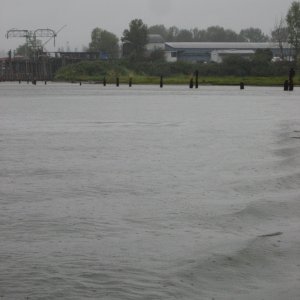 IMG 0935