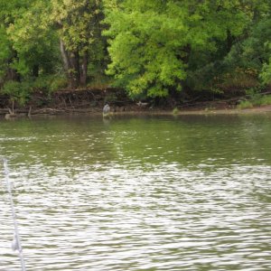 IMG 0940