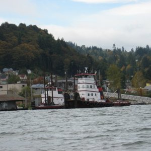 IMG 0956