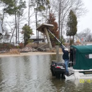Media 'Lopped off the Pole with an Electric Chainsaw' in album 'Andrew McHamish (Silky Terrier) is not fond of the water!!  He doesn't even like to LOOK at the boat...'