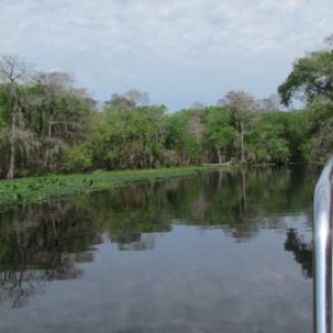 now on the Hontoon River