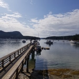 Media 'Montague Harbor' in album 'Bowfest on Bowen Island'