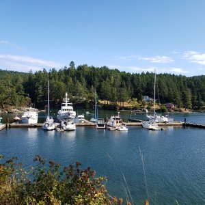 Port Browning Marina