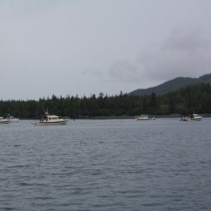 Media 'C-Dory Harbor (also known as Bass Harbor)' in album 'Naked Island 2005'