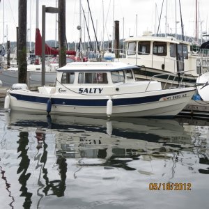Media 'Salty at Cap Sante ready for our cruise' in album 'Friday Harbor'