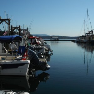 DSCF0239