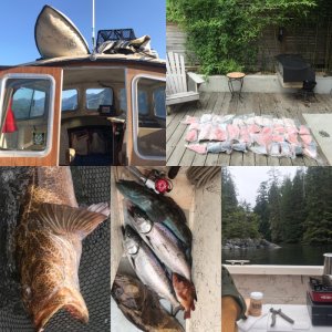 Media 'Fish!' in album 'Sneaking in at low tide, Pacific Playgrounds, June 2019'