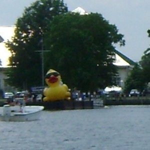 Duck Barge at Elizabeth City potato festival