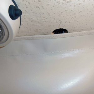 Media 'Cable hole just to rear of mounting bracket, not yet waterproofed' in album 'Tight Fit for sounders, not Lowrance recomended spacing, but works.'