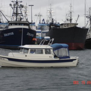 15 Dec 2007 SEA DNA