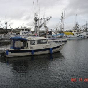 15 Dec 2007 SEA DNA