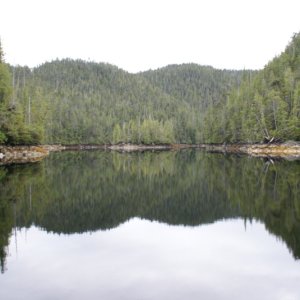 Inside Passage 2011 040 - Northbound, Fish Egg Inlet, Oyster Bay
