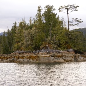 Inside Passage 2011 049 - Northbound, Fish Egg Inlet