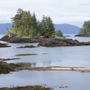Inside Passage 2011 104 - Northbound, Point Baker