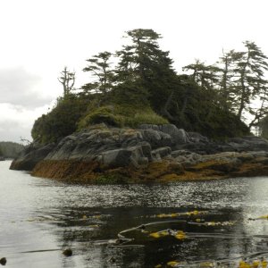 Inside Passage 2011 - Southbound, Farrant Island Cove