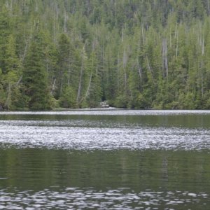 Inside Passage 2011 352 - Southbound, Codville Lagoon Marine Park