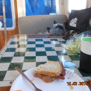 Harry waiting for dinner