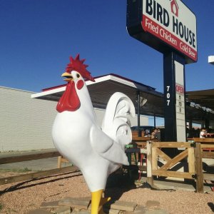 Made it to Page AZ and dinner.