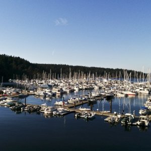 Desert Dory at Friday Harbor