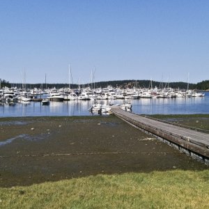 Media 'Desert Dory tied up at the dingy dock' in album 'On our way!'
