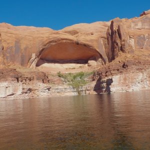 That is the Limpet right at the bottom of the spring under the arch.