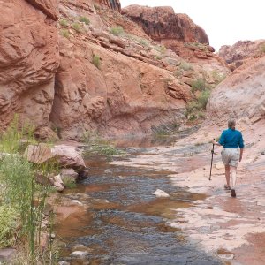 We stopped at the head of most canyons for a walk or to eat lunch.