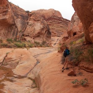 Many of the creek bottoms were fascinating.