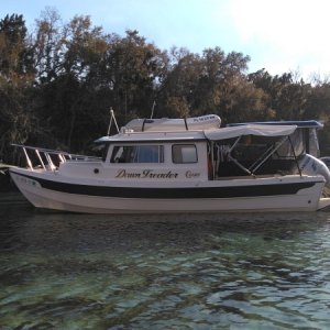 Dawn Treader 2019