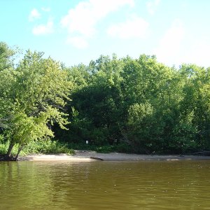 DSC06165